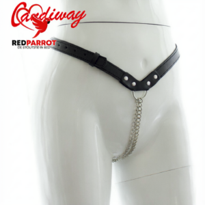 String van Ketting en Leer