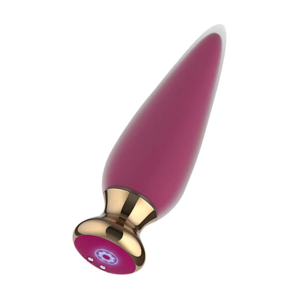 Draadloze anale en vaginale vibrator