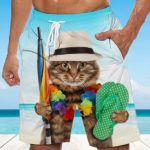 Kat gaat naar het strand Zwembroek