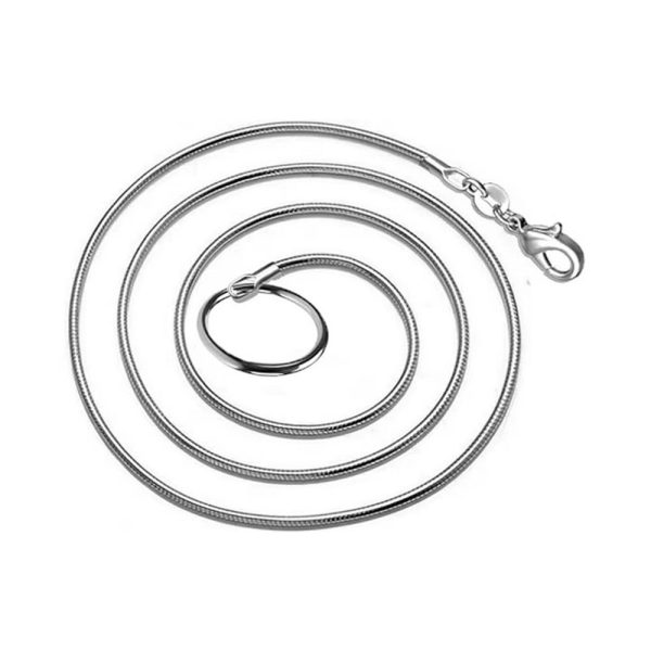 Metalen Halsband Choker met Schroefsluiting en Ketting - Afbeelding 5