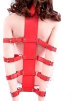 BDSM Bondage Arm en Nek