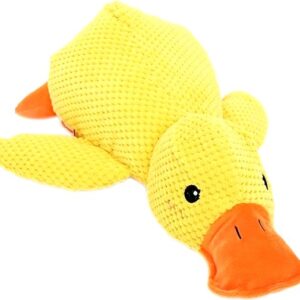 Rustige Remy de hondenvriend - Eend 25cm