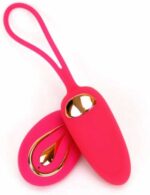 Vibrerende ei met afstandsbediening