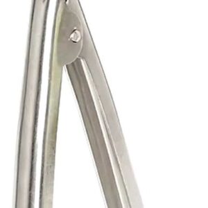 Zijwaardse Speculum RVS