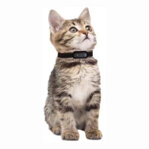 Multifunctionele katten camera