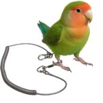 anti-vlieg vogelkoord 10 meter