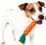 Stevige Wortel Knuffel Hond