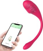 App bestuurbare Vibrator