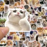 100 grappige Kat Stickers